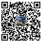 Scan Qrcode